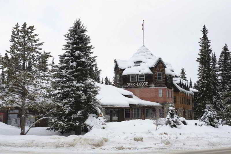Deer Lodge Lake Louise Dış mekan fotoğraf